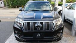 
LAND CRUISER PRADO TZ G 4WD full									