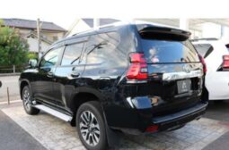 
LAND CRUISER PRADO TZ G 4WD full									