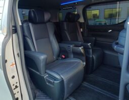 
Vellfire 2019 ZG Edition full									