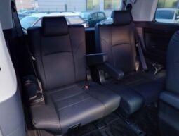 
Vellfire 2019 ZG Edition full									