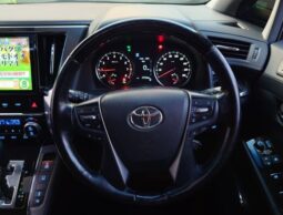 
Vellfire 2019 ZG Edition full									