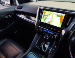 
Vellfire 2019 ZG Edition full									