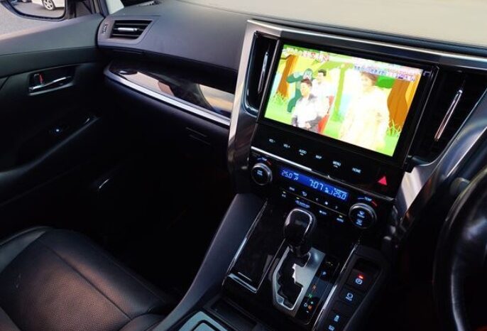 
Vellfire 2019 ZG Edition full									
