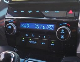 
Vellfire 2019 ZG Edition full									