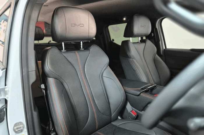 
BYD SHARK 6 1.5 4WD AT White full									