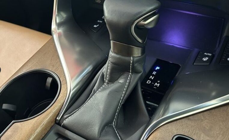 
LEXUS LX600 Off-Road full									