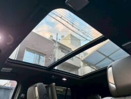 
CADILLAC ESCALADE full									