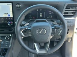 
Lexus GX 550 Overtrail Plus 2025 full									