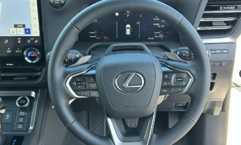
Lexus GX 550 Overtrail Plus 2025 full									